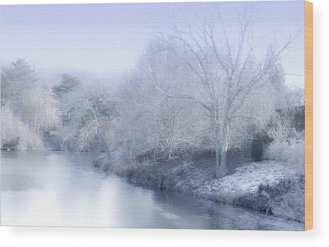 Beauty Wood Print featuring the photograph Winter Blue and White by Julie Palencia