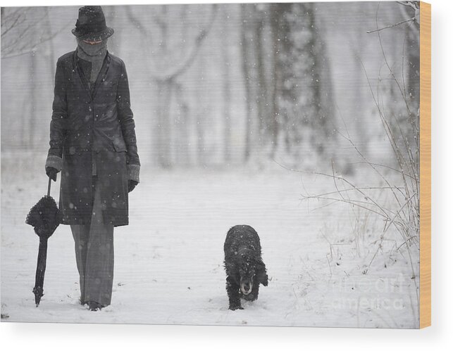 Path Wood Print featuring the photograph Winter day by Mats Silvan