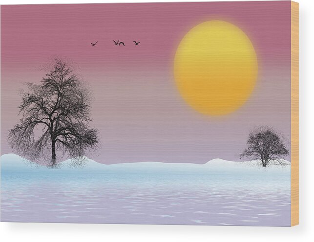 Winter Wood Print featuring the photograph Winter Evening by Cathy Kovarik