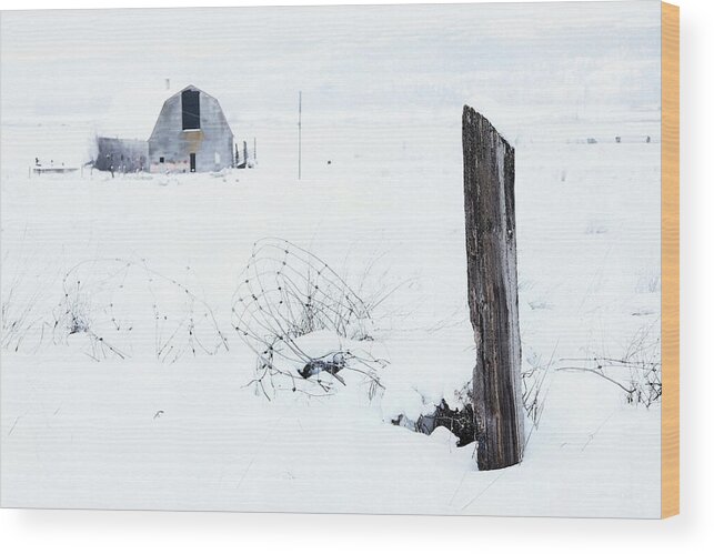 Fence Wood Print featuring the photograph Winter Fence With Barn by Theresa Tahara