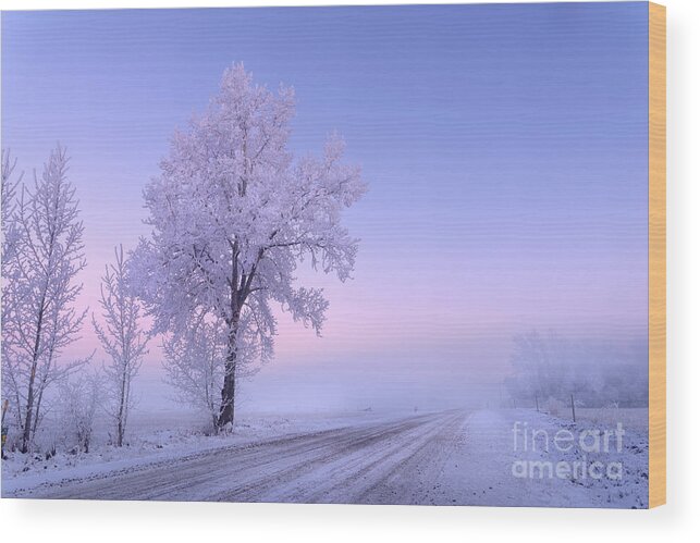 Winter Wood Print featuring the photograph Winter Frost by Dan Jurak