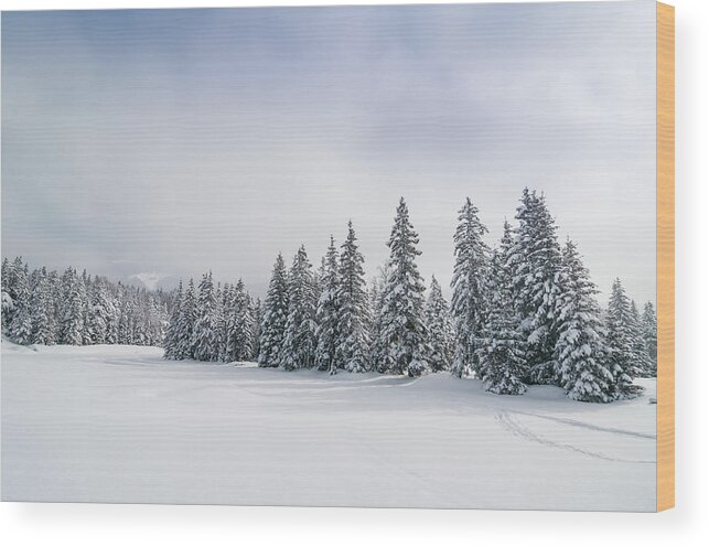Scenics Wood Print featuring the photograph Winter Landscape With Snow And Trees by Mmac72