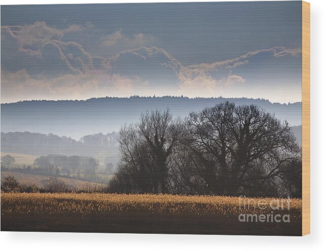Winter Wood Print featuring the photograph Winter Morning by Jan Bickerton
