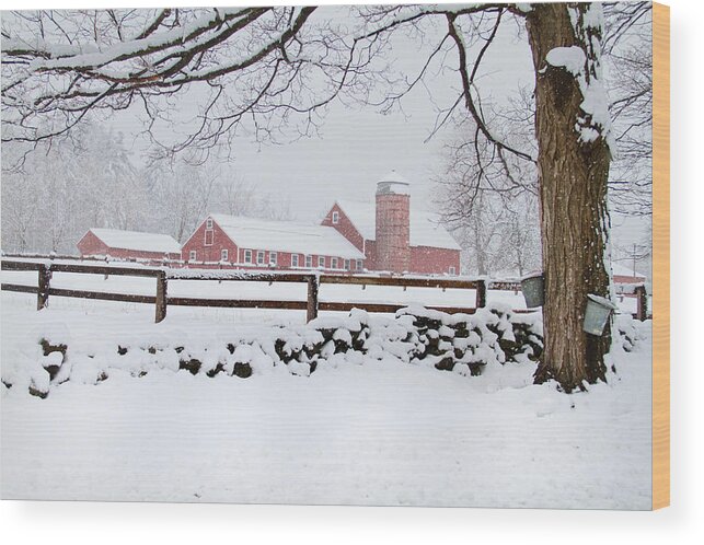 Lunenburg Wood Print featuring the photograph Winter New England Farm by Dale J Martin