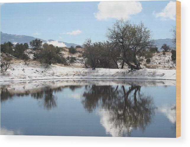 Snow Wood Print featuring the photograph Winter Reflections by David S Reynolds