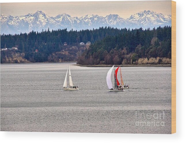 Photography Wood Print featuring the photograph Winter Sails by Sean Griffin