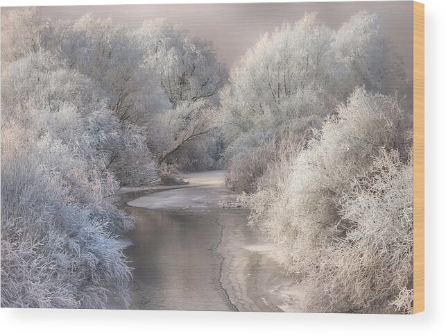 Landscape Wood Print featuring the photograph Winter Song by Sebestyen Bela