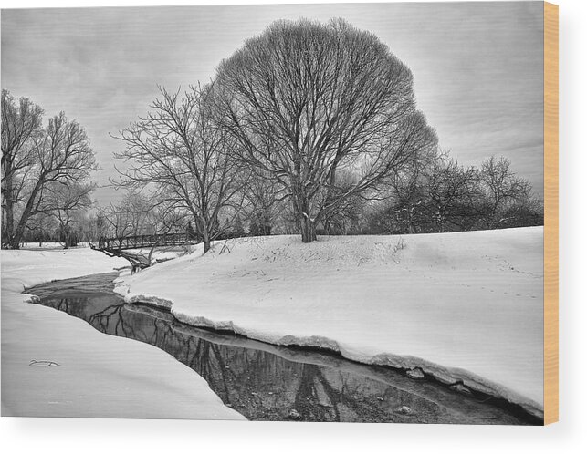 Tree Wood Print featuring the photograph Winter Stream by Eunice Gibb