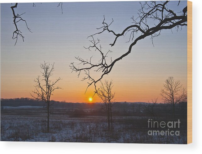 Winter Sunset Wood Print featuring the photograph Winter Sun Ornament by Dan Hefle