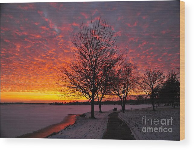 Winter Wood Print featuring the photograph Cadillac Michigan City Park by Terri Gostola