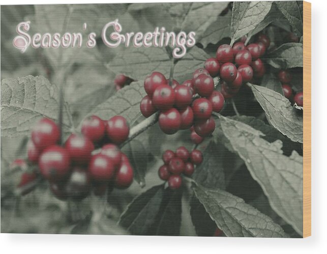 Winter Wood Print featuring the photograph Winterberry Greetings by Photographic Arts And Design Studio