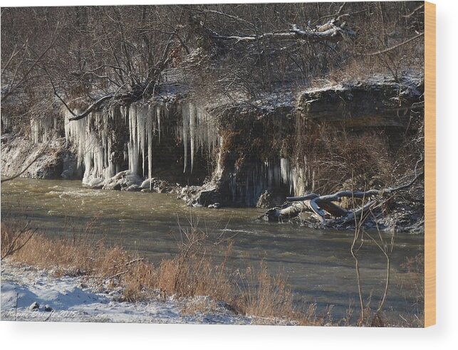 Icicles Wood Print featuring the photograph Winter's Artwork by Regine Brindle