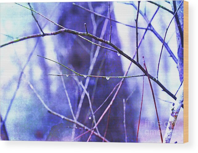 Lensbaby Wood Print featuring the photograph Wintry by Judi Bagwell