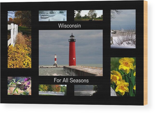 Wisconsin Wood Print featuring the photograph Wisconsin For All Seasons by Kay Novy
