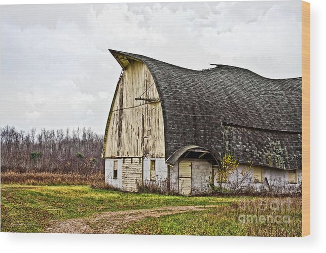 Rural Wood Print featuring the photograph Wisconsin Old Barn 1 by Ms Judi