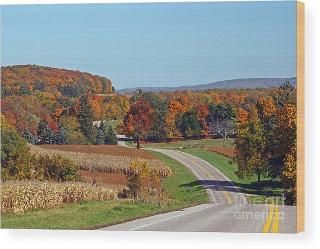 Color Wood Print featuring the photograph Wisconsin's Fall Color by Joan McArthur