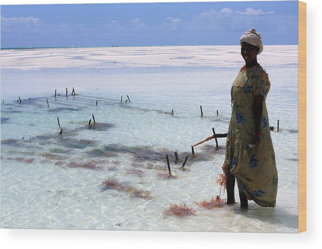 Africa Wood Print featuring the photograph Women Of The Shallows Tanzania by Aidan Moran