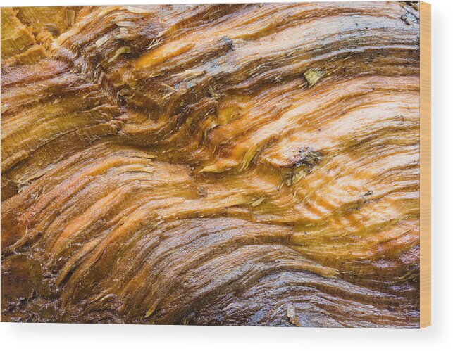 Wood Wood Print featuring the photograph Wood structure closeup brown beige orange by Matthias Hauser