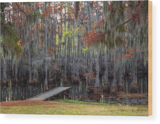 Dock Wood Print featuring the photograph Wooden Dock on Autumn Swamp by Ester McGuire