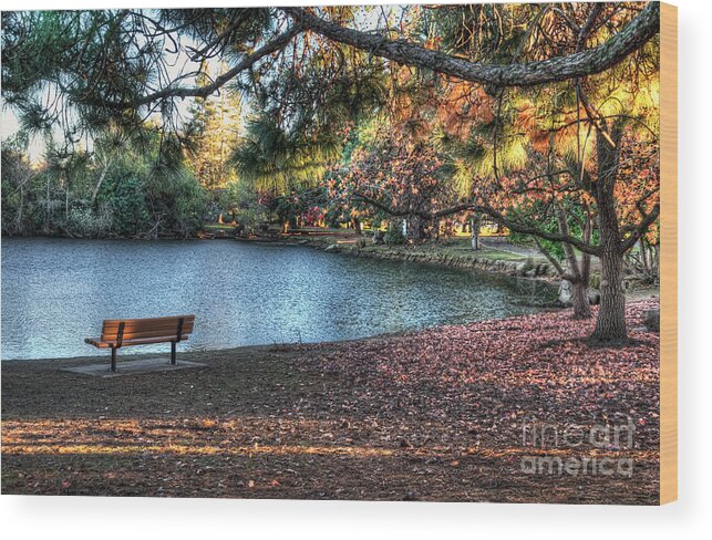 Woodward Wood Print featuring the photograph Woodward Park by Eddie Yerkish