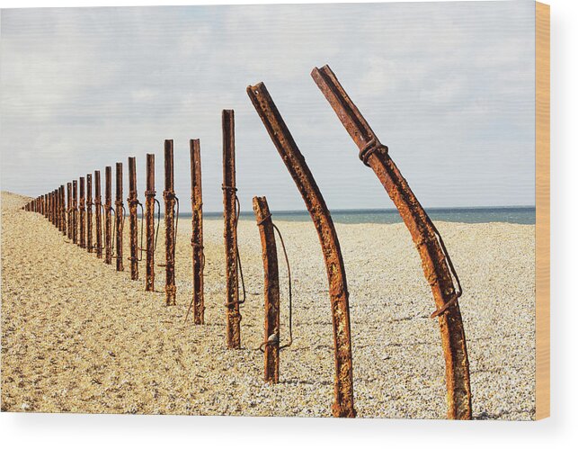 Rusty Wood Print featuring the photograph World War Two Defenses Revealed by Ashley Cooper
