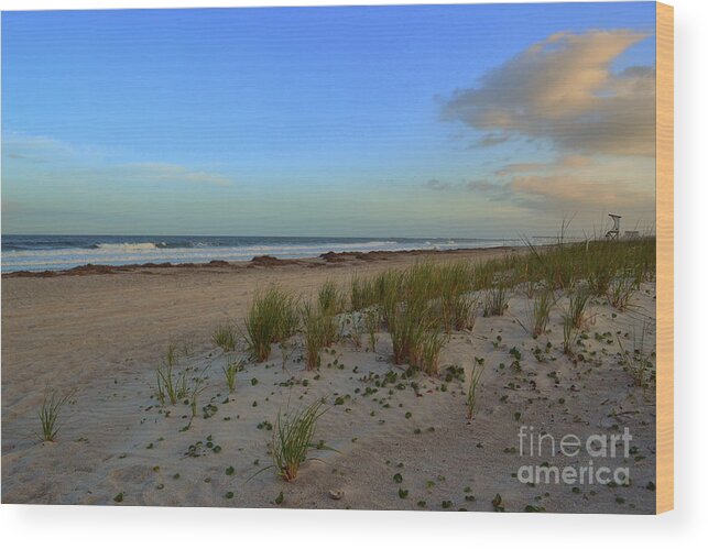 Beach Wood Print featuring the photograph Wrightsville Beach Dune by Amy Lucid