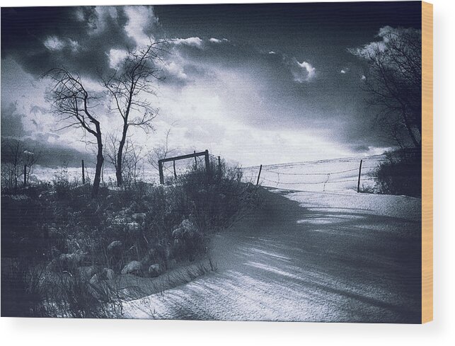 Landscape Wood Print featuring the photograph Wuthering Heights Snowscape by Theresa Tahara