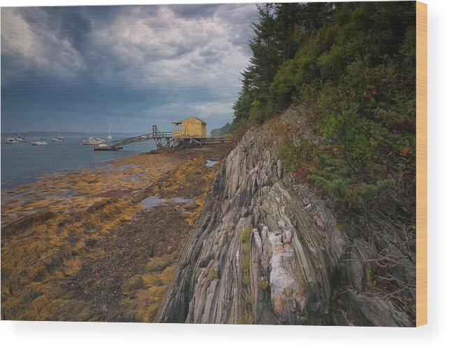 #boats Wood Print featuring the photograph Yellow Boat House by Darylann Leonard Photography