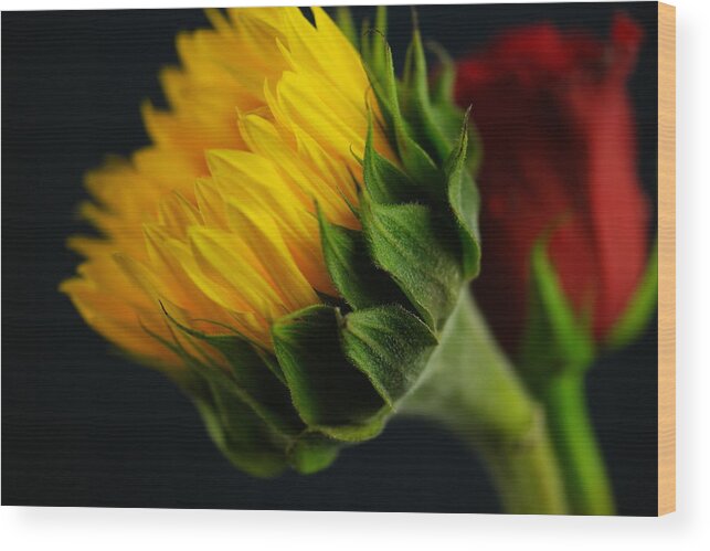 Flower Wood Print featuring the photograph Yellow floral by Jeff Swan