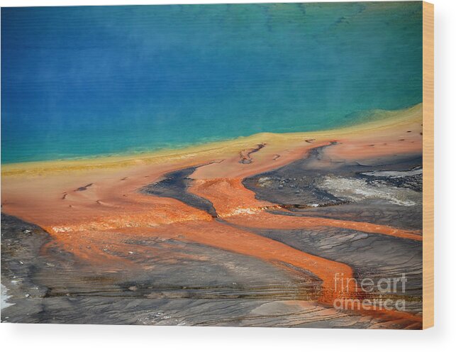 Yellowstone National Park Wood Print featuring the photograph Yellowstone Grand Prismatic Close Up by Debra Thompson