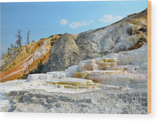 Yellowstone National Park Wood Print featuring the photograph Yellowstone Mammoth Hot Springs Colorful Palette Spring by Debra Thompson
