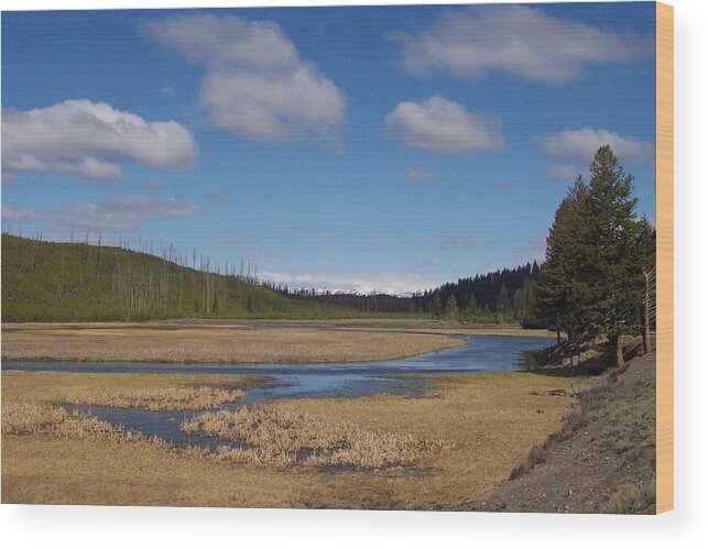 Yellowstone National Park Photograph Wood Print featuring the photograph Yellowstone Park 2 by Kenneth Cole