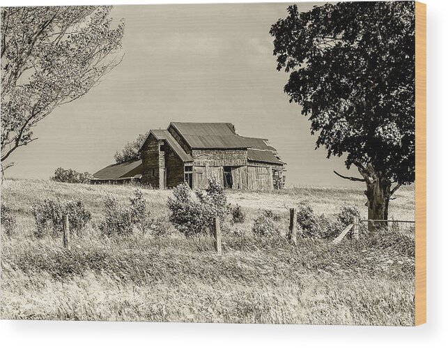 Farm Wood Print featuring the photograph Yester Farm by Rick Bartrand