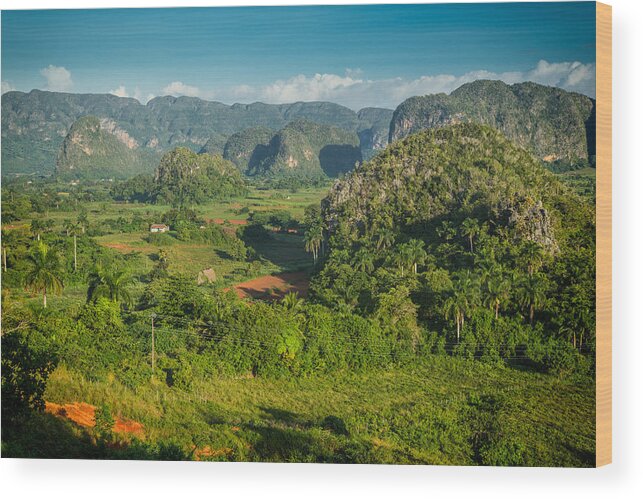 Cuba Wood Print featuring the photograph Yet Another View of Vinales Valley by Levin Rodriguez