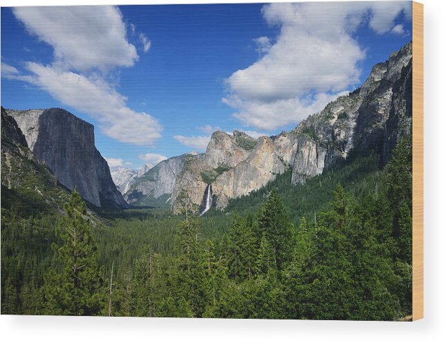 Yosemite National Park Wood Print featuring the photograph Yosemite National Park by RicardMN Photography