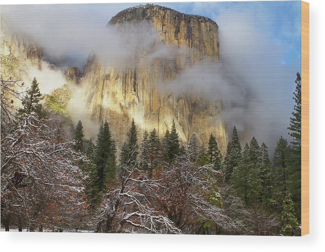 Snow Wood Print featuring the photograph Yosemite National Parks El Capitan El by Tracy Barbutes / Design Pics