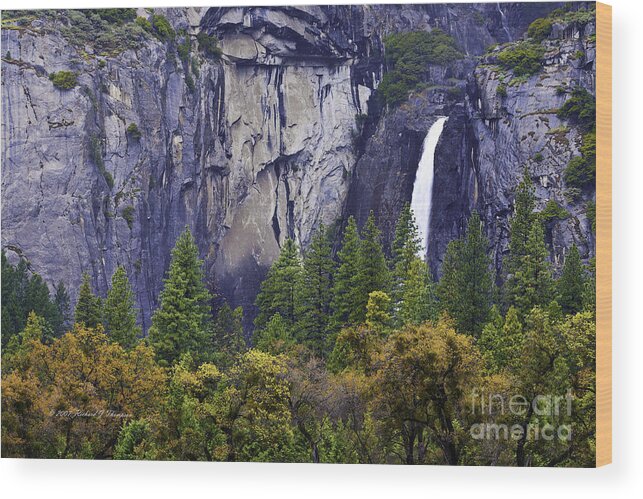 Horizontal Wood Print featuring the photograph Yosemite Water Fall by Richard J Thompson 