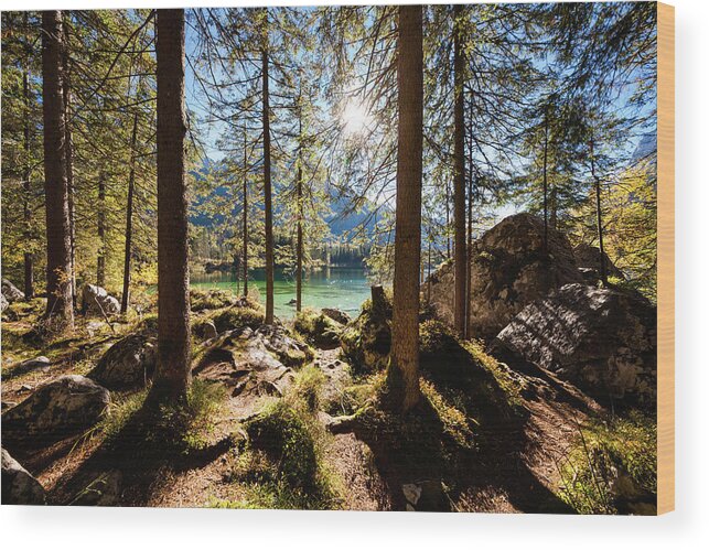 Tranquility Wood Print featuring the photograph Zauberwald In Autumn by Jorg Greuel