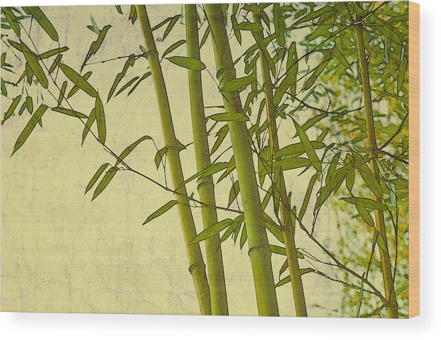 Asian Wood Print featuring the digital art Zen Bamboo Abstract I by Marianne Campolongo