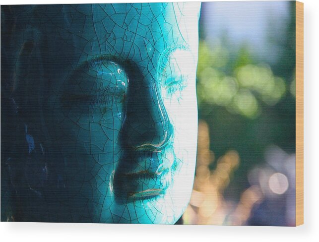 Buddah Wood Print featuring the photograph Zen Morning by Kevin Itsaboutvision