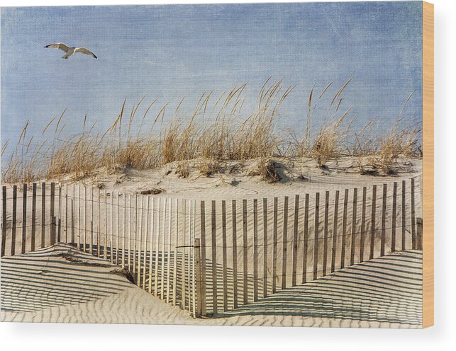 Beach Wood Print featuring the photograph Zig Zag Beach by Cathy Kovarik
