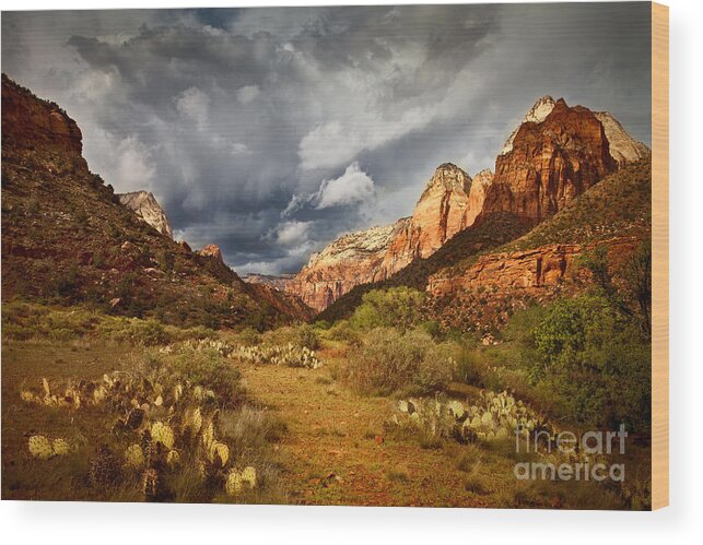 National Park Wood Print featuring the photograph Zion Clearing Storm by Alice Cahill