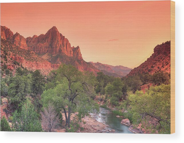 Tranquility Wood Print featuring the photograph Zion National Park by Michele Falzone