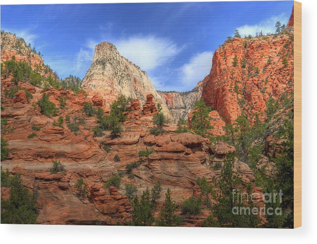 Zion National Park Wood Print featuring the photograph Zion Utah by Kelly Wade