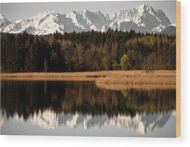 Tranquility Wood Print featuring the photograph Zugspitze by Michael Fellner