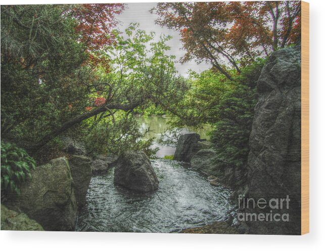 Landscape Wood Print featuring the photograph  A Mystical Place by Peggy Franz