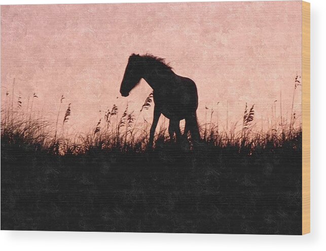 Mustang Wood Print featuring the photograph Captured Forever #1 by Kim Galluzzo