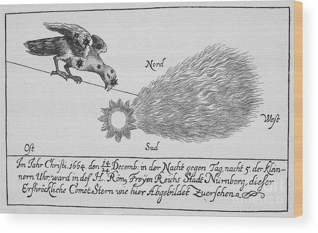 1664 Wood Print featuring the photograph Comet, 1664 #1 by Granger