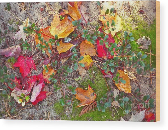 Fall Wood Print featuring the photograph Fall Mixer #1 by Jim Simak