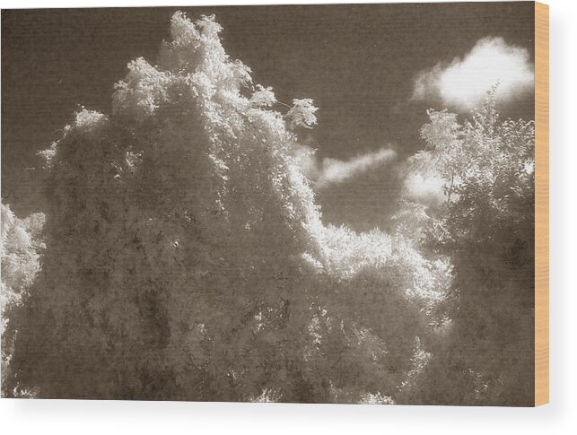 Landscape Wood Print featuring the photograph Majestic by Jean Wolfrum
